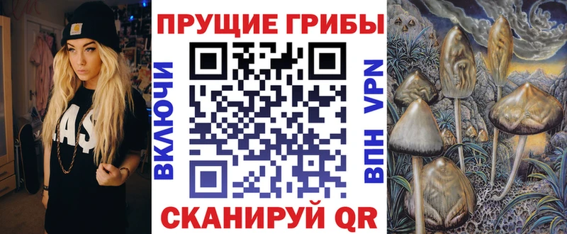 как найти наркотики  Дудинка  Галлюциногенные грибы Magic Shrooms 