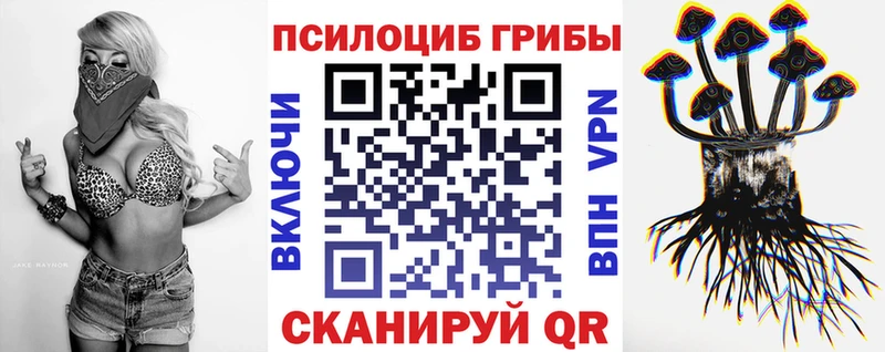 Псилоцибиновые грибы MAGIC MUSHROOMS Дудинка